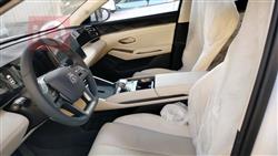 بي واي دي كوين L DM-i